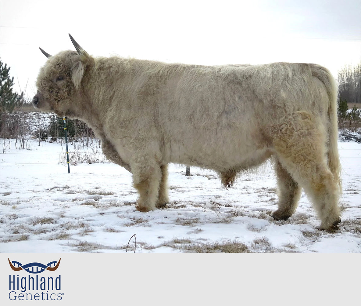 SP Heather '15 + CBS No Excuses