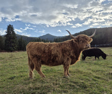 Deedee of Sunset Farms