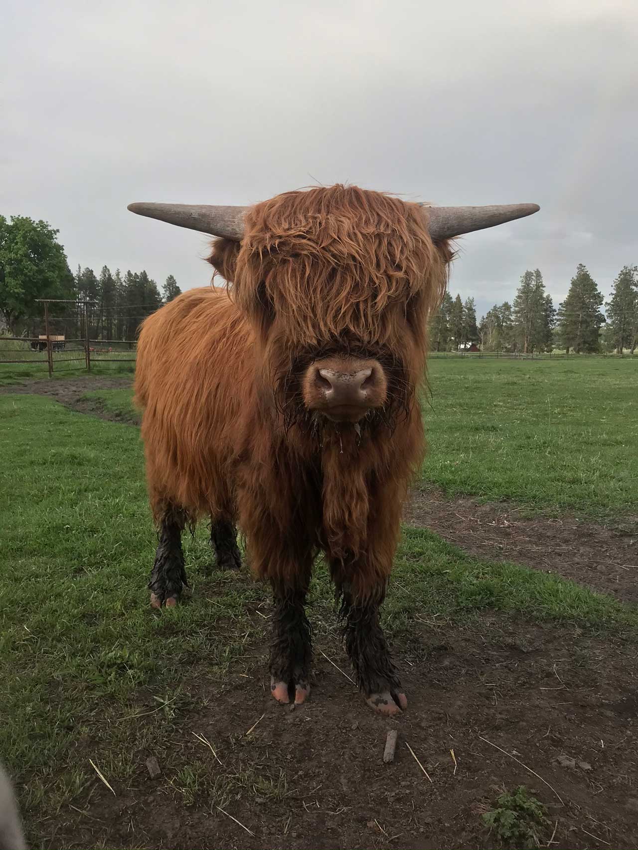 Lochaber